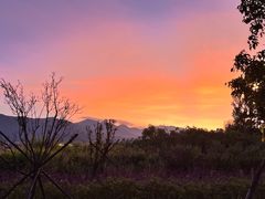 -洱海月湿地公园