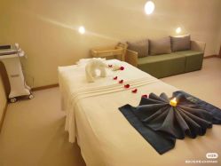 -隐逸SPA