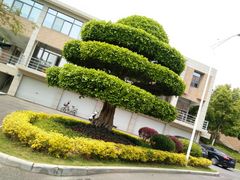 -厦门国家会计学院