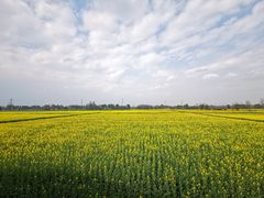 -中国天府农业博览园