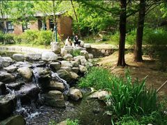 -白水寺森林公园