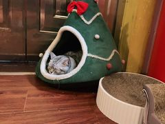 -H立方实景剧情密室(天河旗舰店)