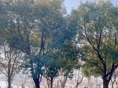 -苏州太湖湖滨国家湿地公园