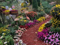 -上海共青森林公园