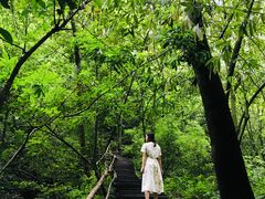 -神龙峡风景区