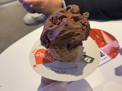 -野人牧坊Gelato(天津南开大悦城店)