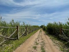 -野鸭湖国家湿地公园