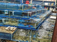 -三亚新鸿港水果一级批发市场