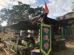 -松山湖梦幻百花洲