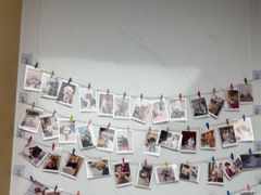 -瑞派康怡24h宠物医院·犬猫医疗中心·微创绝育(瑞景分院)