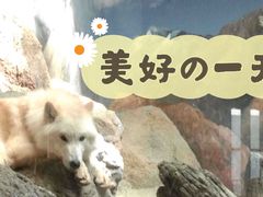 -西安曲江海洋极地公园
