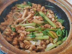 -煲煲好(朝阳门店)