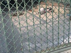 -宿豫区运河湾森林动物园