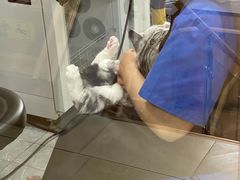 -宠福鑫康馨动物医院·骨科·眼科