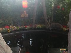 -东方华地城湿地温泉度假区
