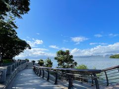 -深圳湾公园(南山区)