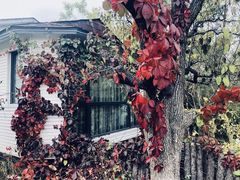 -天津盘山风景名胜区