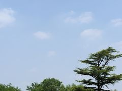 -太阳宫公园