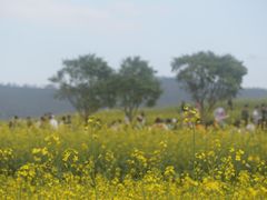 -光明小镇欢乐田园