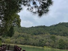 -广州白江湖森林公园