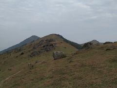 -大姆山草场