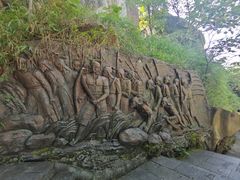 -铁山坪森林公园