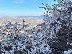 -北京凤凰岭