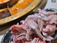 -新哥老官·畅吃123·美蛙世界(苏宁广场店)