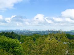 -牛首山文化旅游区