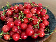 -北宅大永樱桃采摘基地(崂山总部)