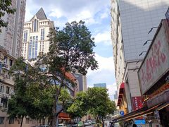 -成都七中(林荫校区)