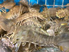 -三炮海鲜烧烤店(河畔·幸福城店)