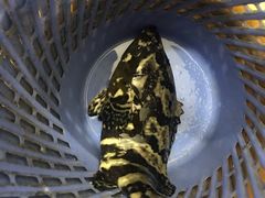 -八方海味餐厅