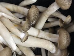 蟹味菇-盒马鲜生(岭南新世界店)