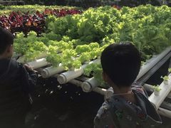 -晶宝温泉农庄