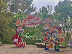 -广州市石门国家森林公园