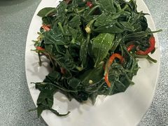 野生枸杞苗-宁夏招待所食堂(长城花园店)