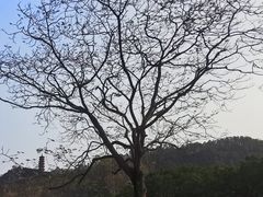 -南沙蒲洲花园