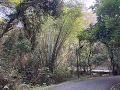 -广州市白云山风景名胜区