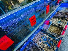 -金海湾海鲜排档(朱家尖店)