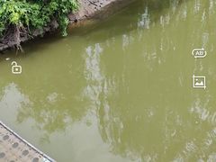-南翠屏公园