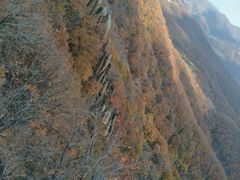 -吉林市朱雀山国家森林公园