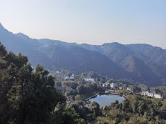 -南山植物园