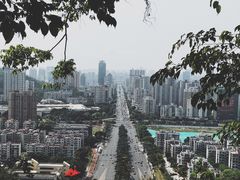 -板樟山森林公园