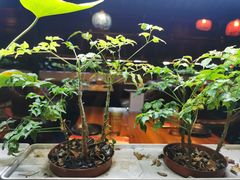 -望京一号·重庆江湖菜(工体店)