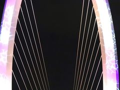 -南京眼步行桥