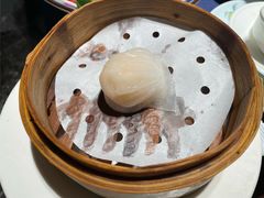 维园虾饺皇-维园悦谱·海派家常菜(乌鲁木齐南路店)