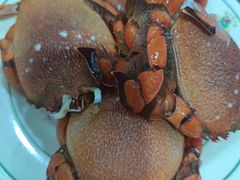 -巴犀烧烤(新崇光店)