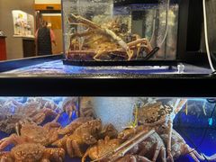 -蟹道乐(道顿堀本店)