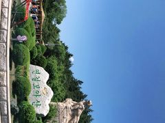 -帽儿山国家森林公园